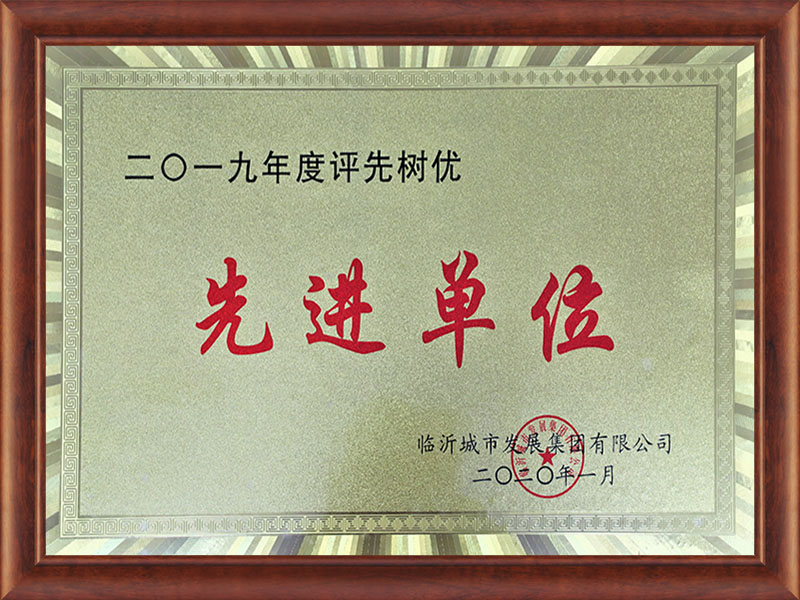 2019年度評先樹優(yōu)先進單位