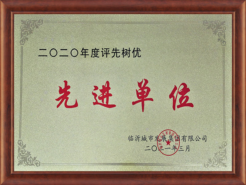 2020年度評先樹優(yōu)先進單位