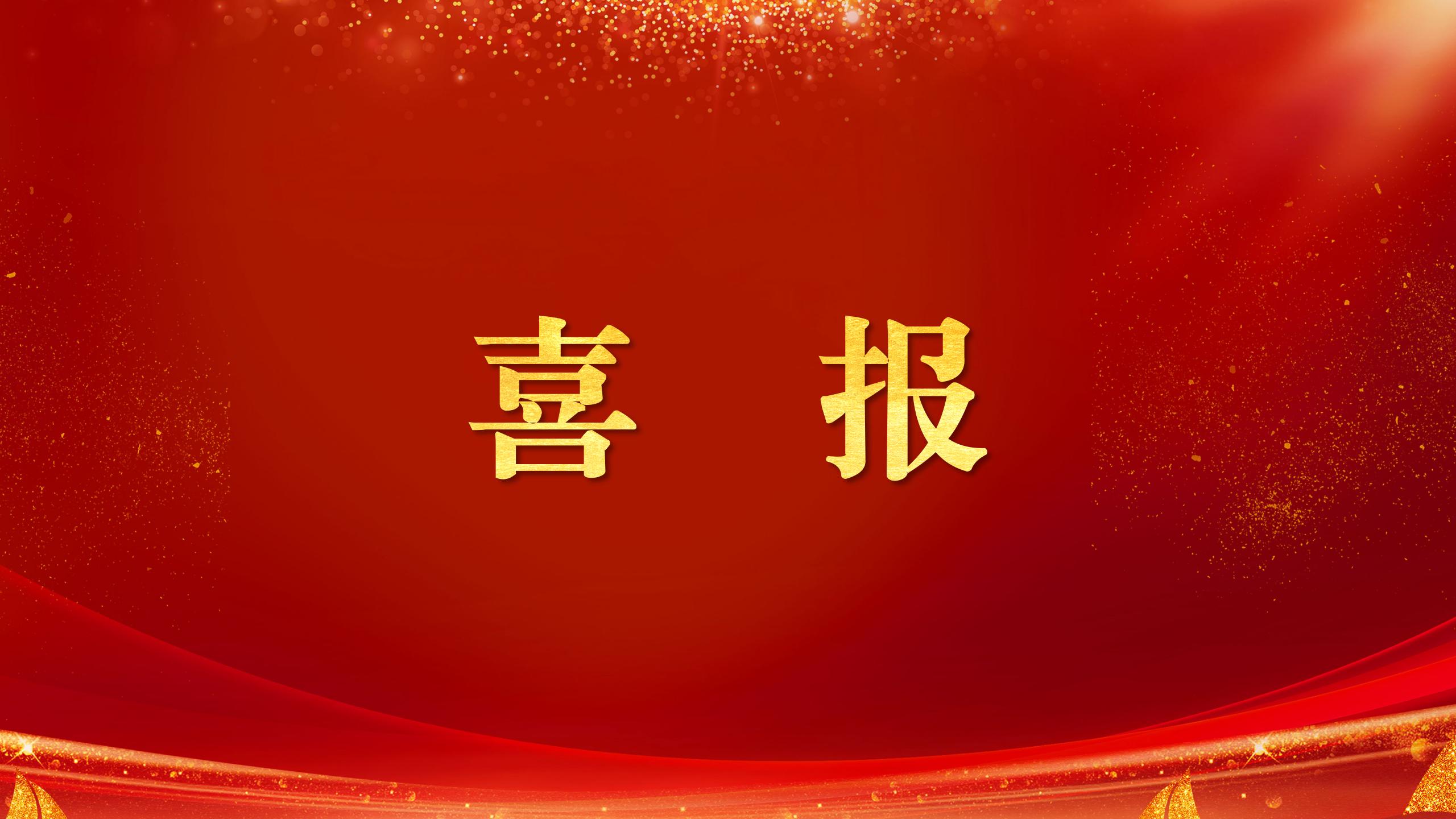 臨沂城發(fā)國(guó)投集團(tuán)獲市委、市政府表?yè)P(yáng)！